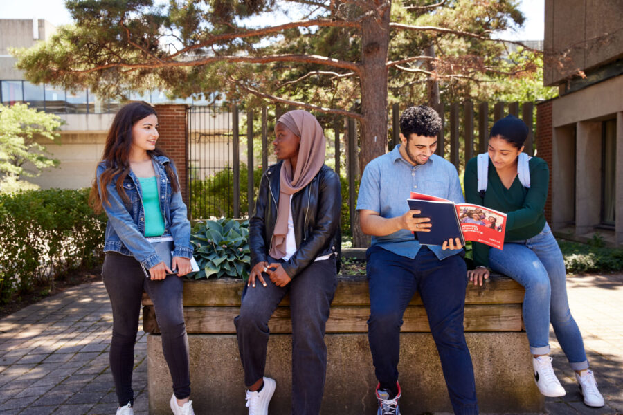 Students sitting outside under a tree