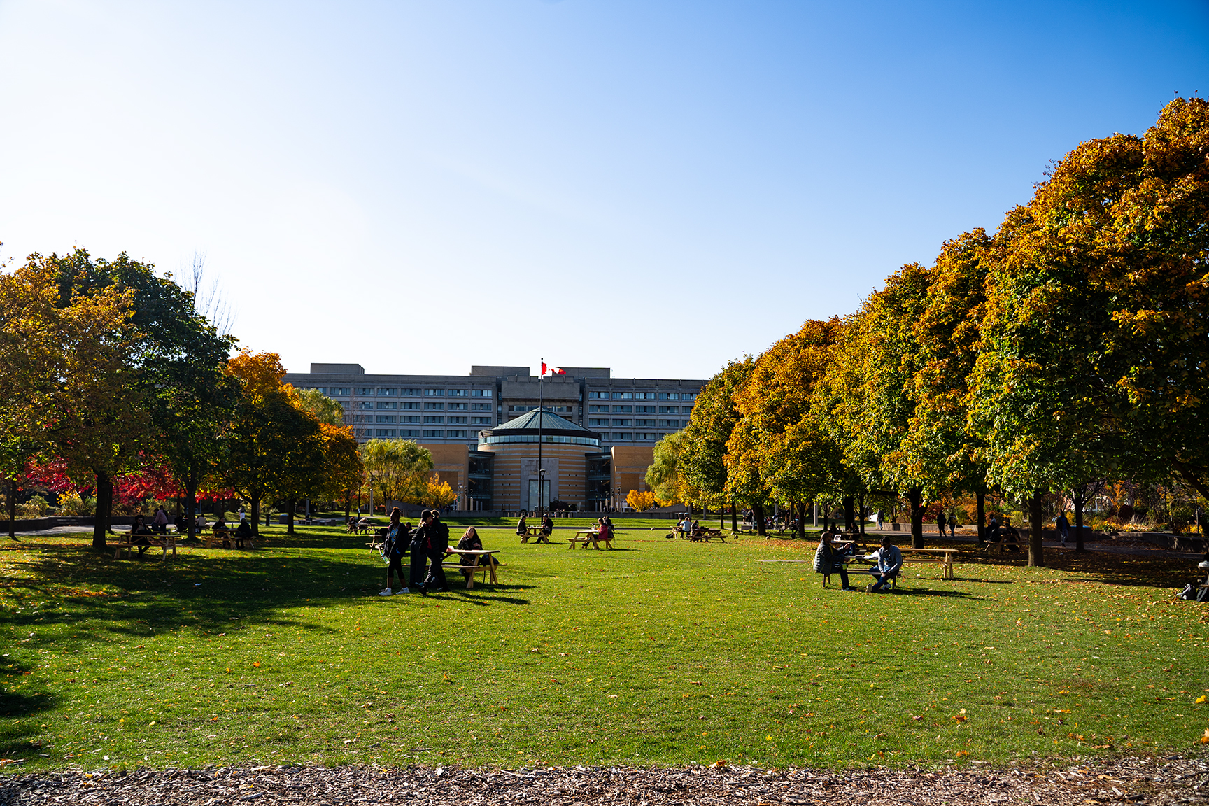 People sitting on picnic tables by the grass and autumn trees