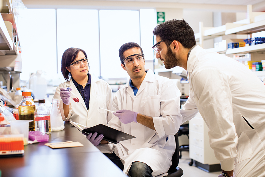 Three scientists in a lab doing tests