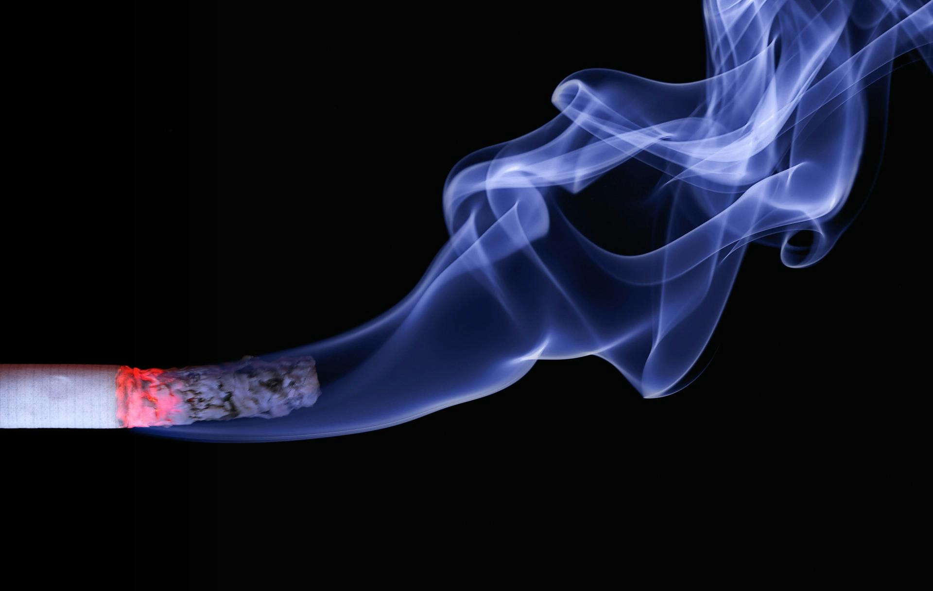 Close up photo of lighted cigarette