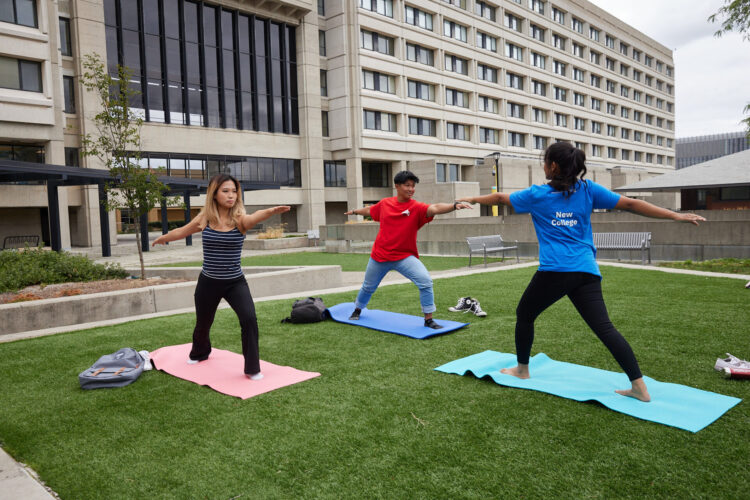 Three individuals practicing yoga on the grass.