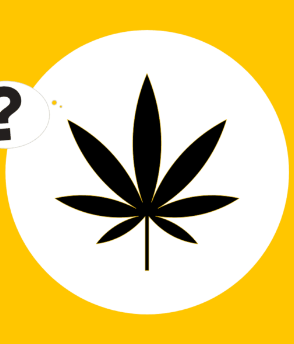 Graphic of marijuana symbol