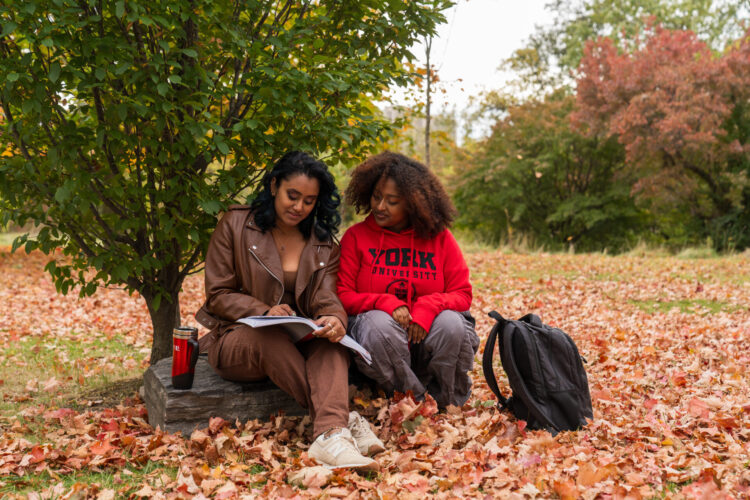 Two women sitting on a rock and looking at a book with red leaves on the ground