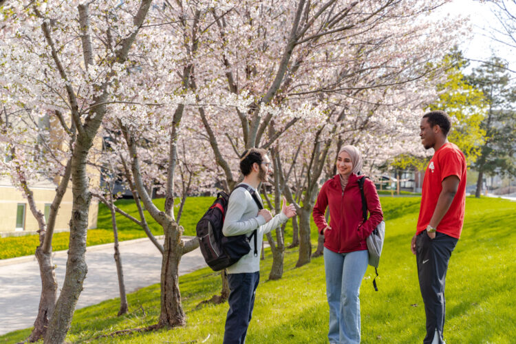 Students standing under cherry blossom trees