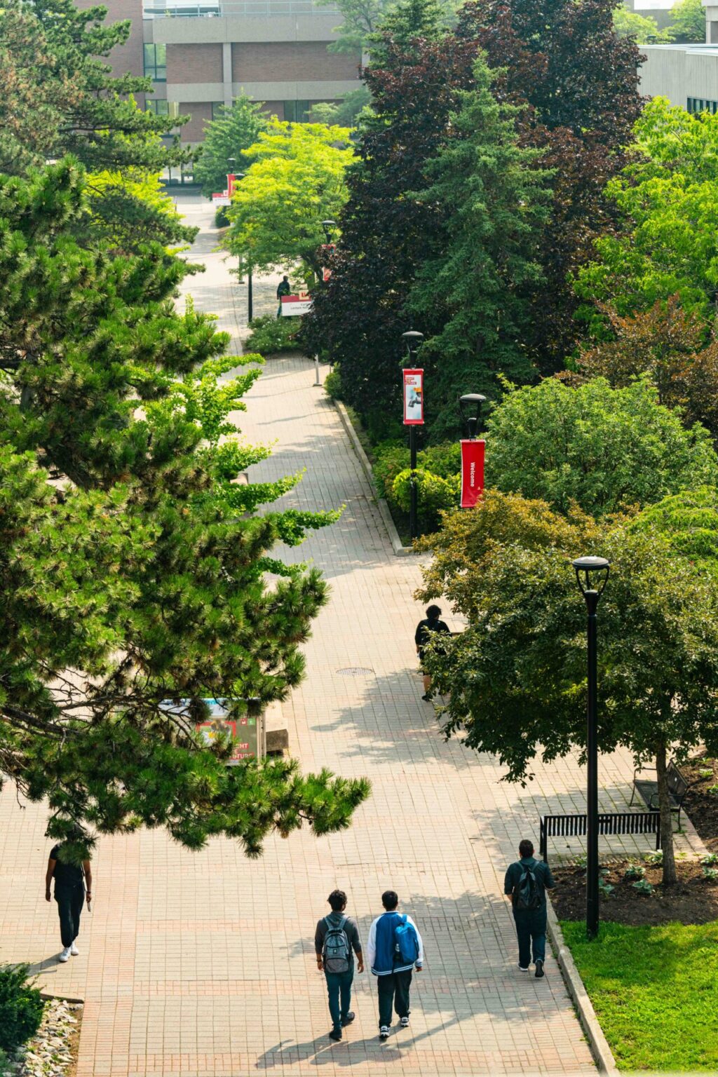 Students walking on campus