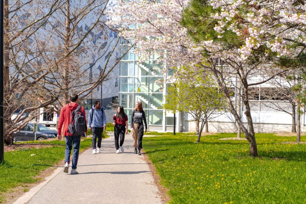 Student walking down campus walk in spring