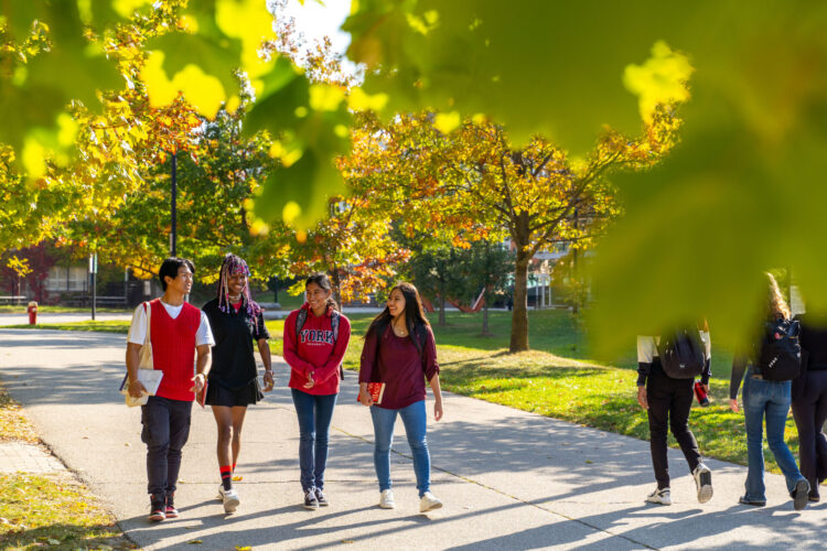 People walking with autumn leaves