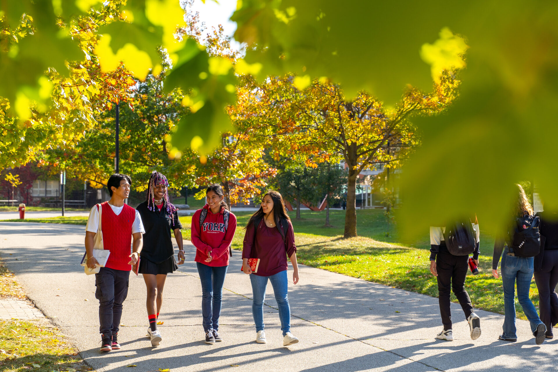 People walking with autumn leaves