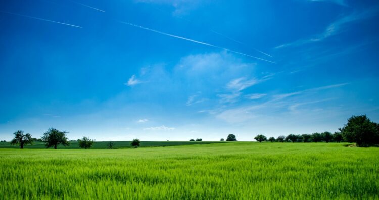 Panoramic photography of green field and blue skies