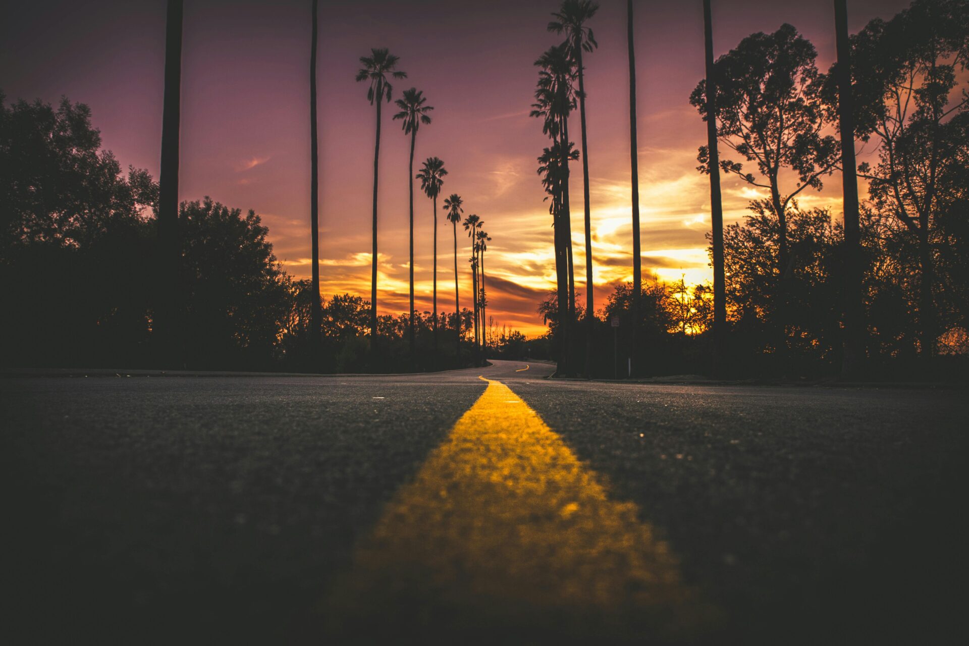 Road in city during sunset