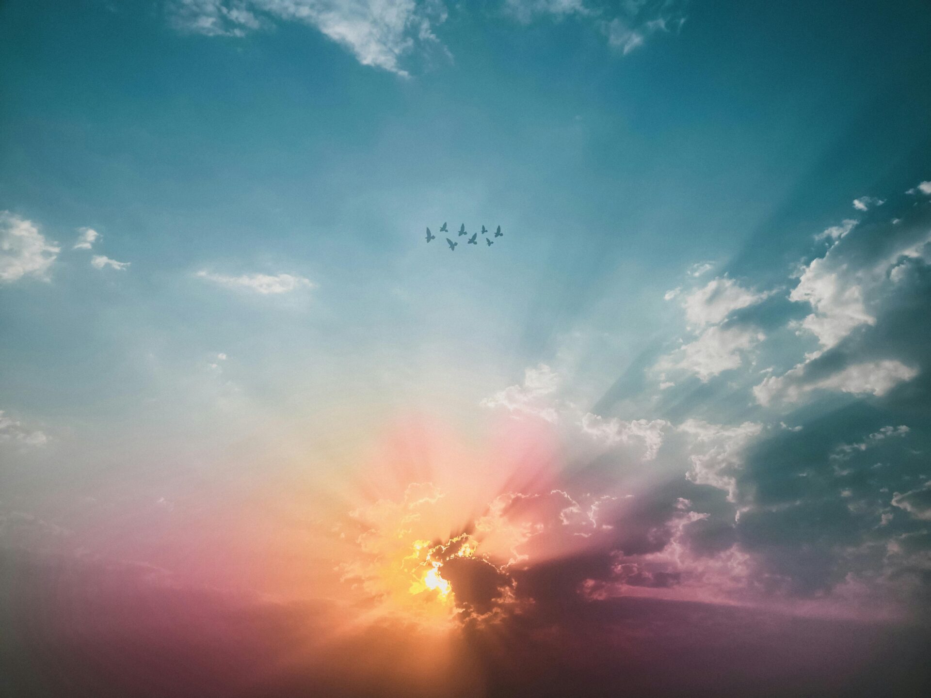 Scenic view of sky and birds flying during sunset