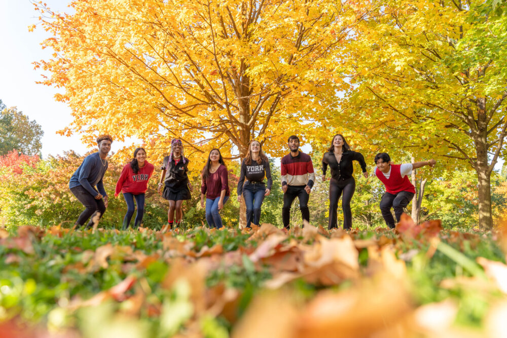 Students jumping in autumn leaves