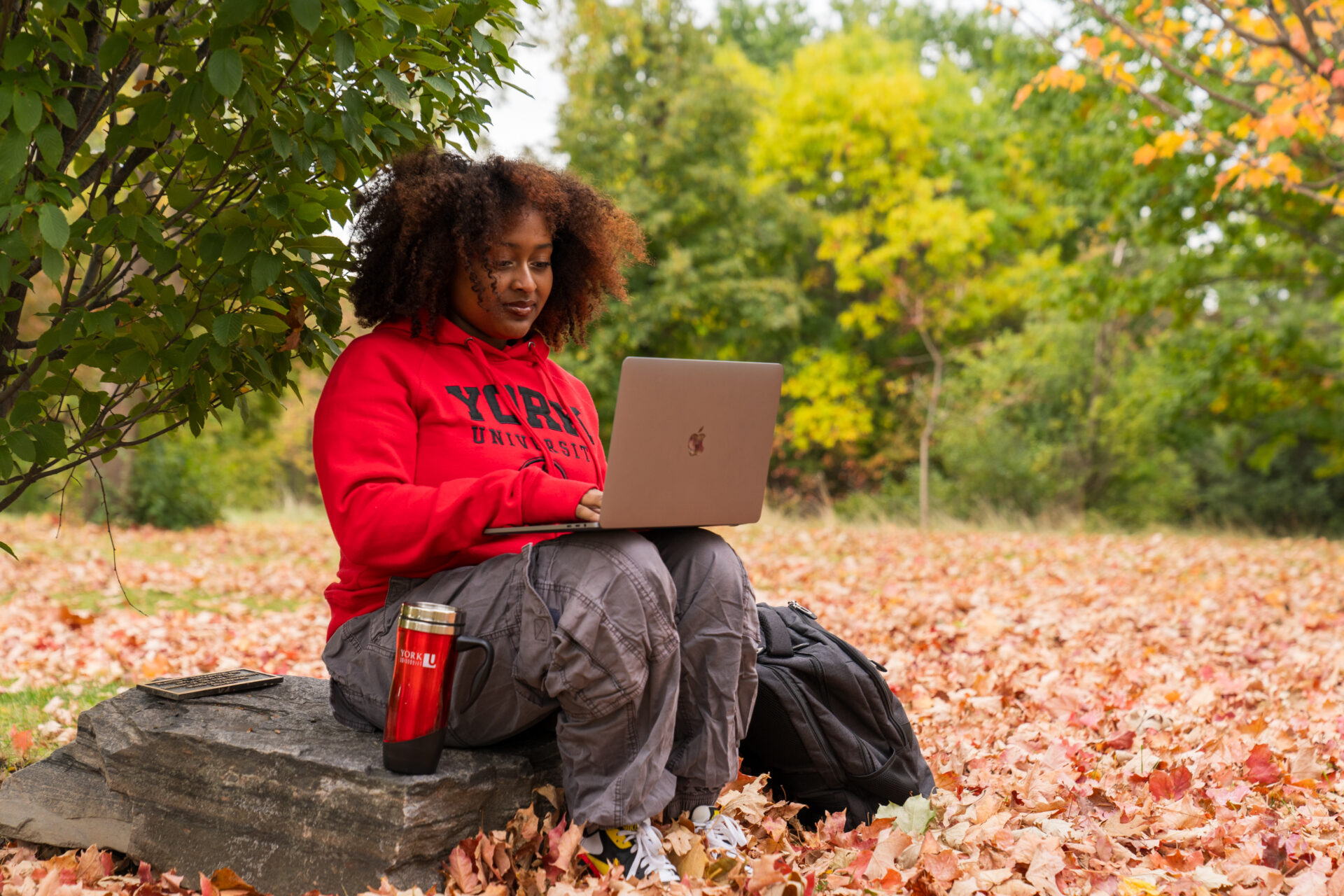 Student sitting down on a rock with a laptop on their knees