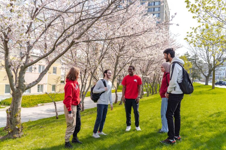 Group of friends standing under cheery blossom trees