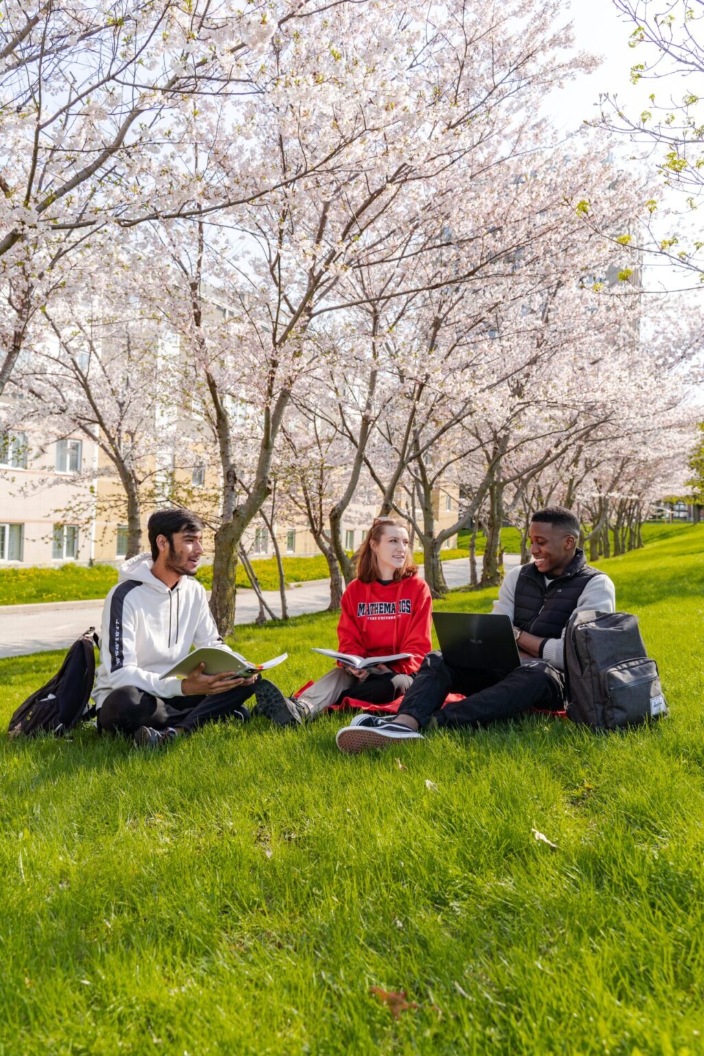 Three friends sitting on the grass under cherry blossom trees