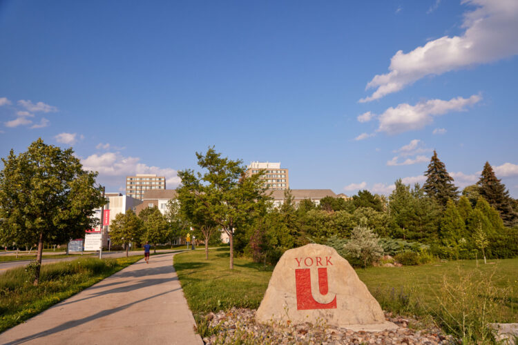 A pathway on the York University campus lined with trees, leading toward buildings in the background, with a large stone sign featuring the York “U” logo in the foreground under a blue sky.
